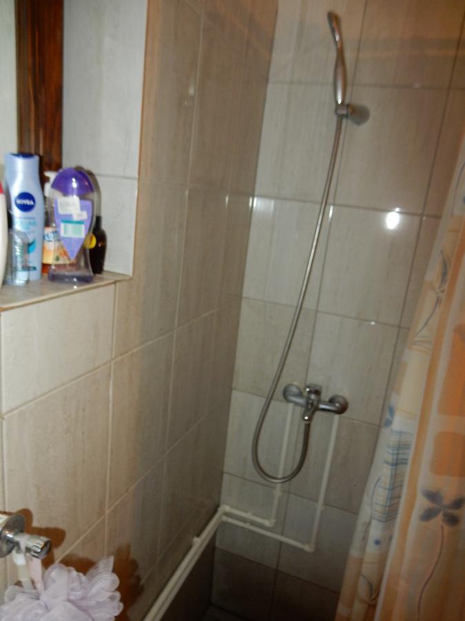 Panorama Lomnica Bed and Breakfast Despotovac Εξωτερικό φωτογραφία