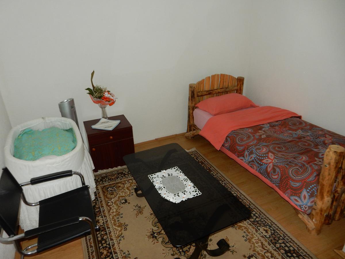 Panorama Lomnica Bed and Breakfast Despotovac Εξωτερικό φωτογραφία